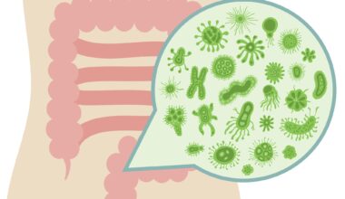 How Gut Fungi and Archaea Influence Human Health