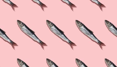 The right seafood choices can help diets meet health and climate goals