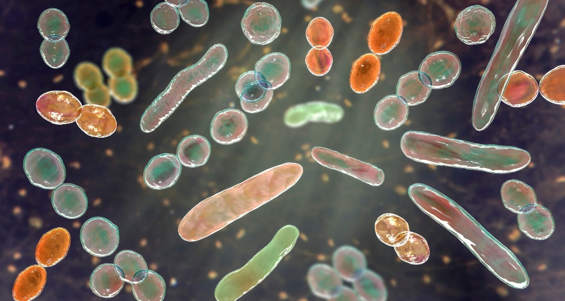 Paper: The microbiota-gut-brain axis: novel mechanisms and therapeutic frontiers in obesity and type 2 diabetes. Image Credit: Kateryna Kon / Shutterstock