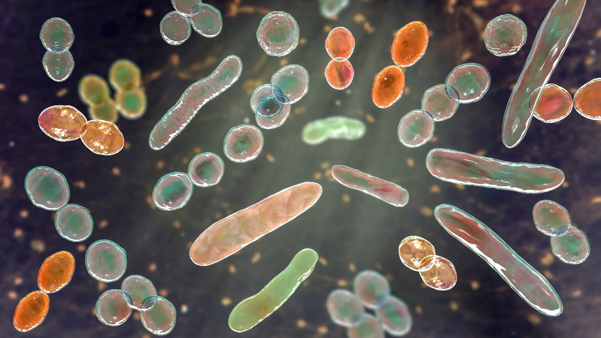 Paper: The microbiota-gut-brain axis: novel mechanisms and therapeutic frontiers in obesity and type 2 diabetes. Image Credit: Kateryna Kon / Shutterstock