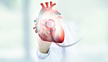 Study: Life-span–dependent transcriptional dynamics of the human heart. Image Credit: Vishal Bhaskar Nagtilak / Shutterstock