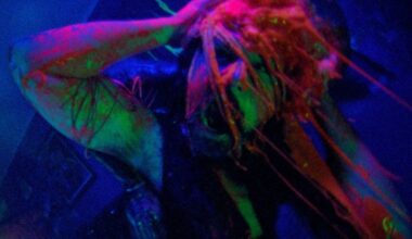 Argentine Spin-Off of Alien Horror Pic 'Jimmy and Stiggs' Set to Fly