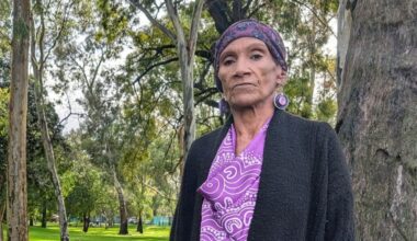 Second activist joins park lands court battle - News