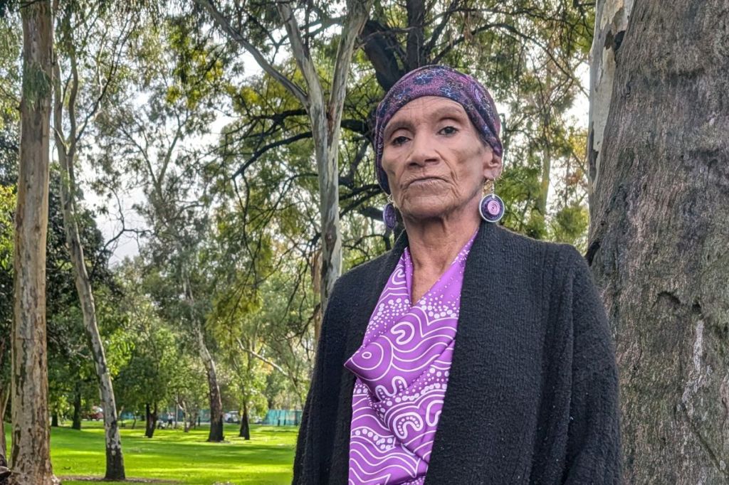 Second activist joins park lands court battle - News