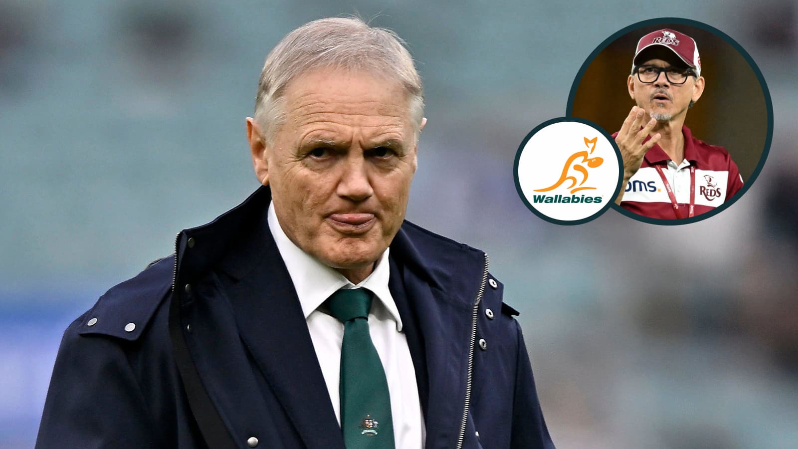 Joe Schmidt makes shock calls in Wallabies Nations Championship squad