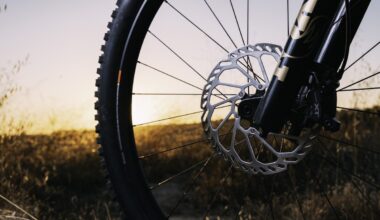 Disc brake consensus is here! Shimano finally drops 203mm rotors