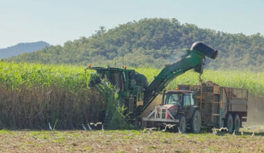 Mackay Sugar cyber attack flagged as broader risk to Australia’s food supply chain