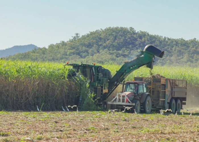 Mackay Sugar cyber attack flagged as broader risk to Australia’s food supply chain