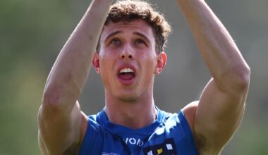 Suns tall under investigation for alleged homophobic slur