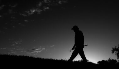 image detail