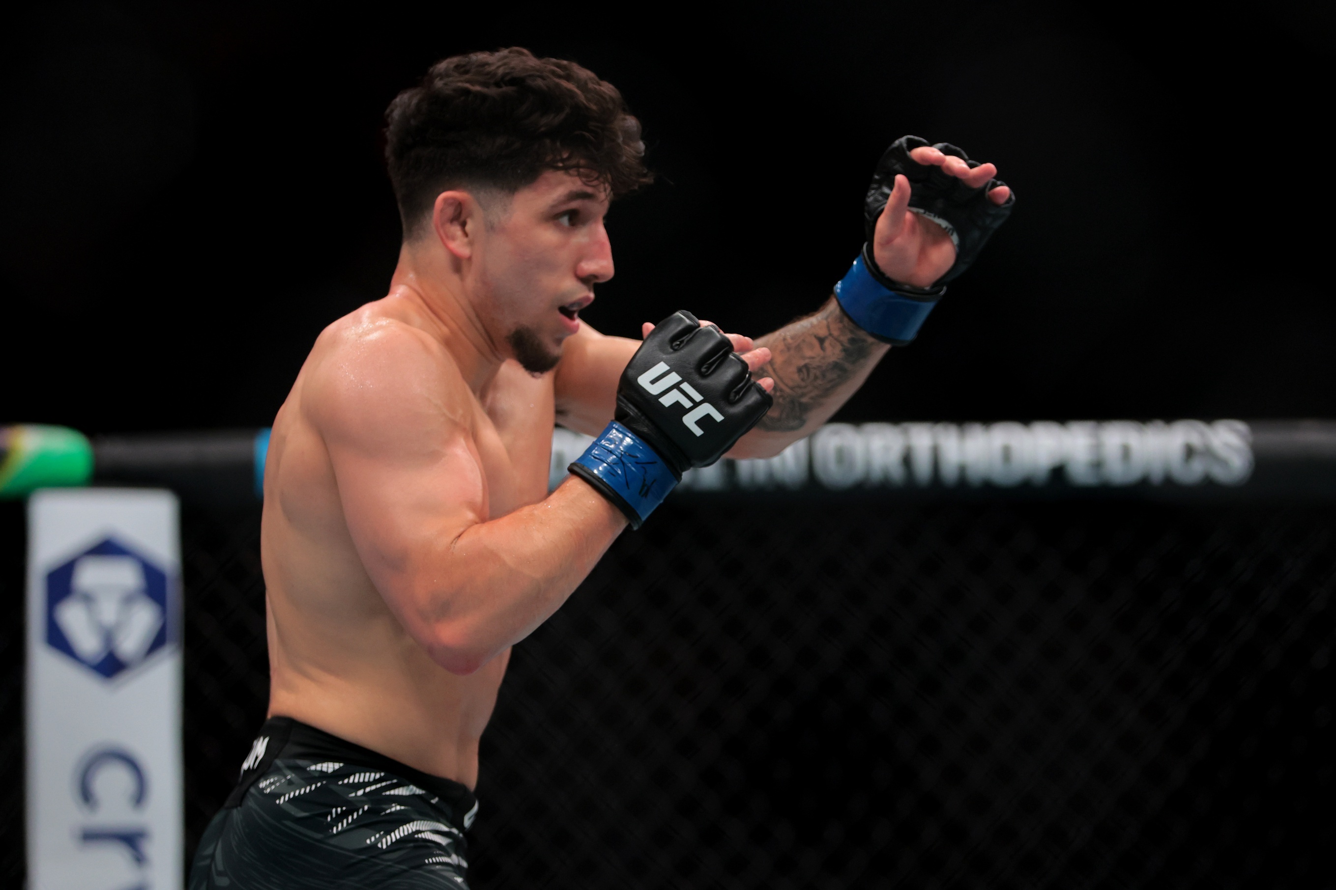 Raposo of the UFC