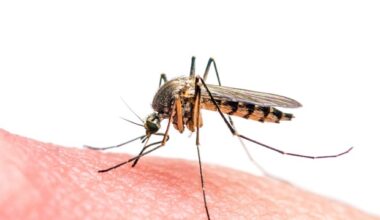 Global analysis exposes wide regional disparities in insecticide-treated net performance