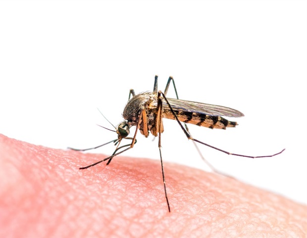 Global analysis exposes wide regional disparities in insecticide-treated net performance