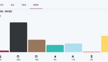 NEM current