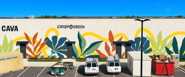 This mural evoking natural elements has been approved for one of the new buildings in Block 59 on Route 59 at Aurora Avenue in Naperville. (Kailey Rorer/Brixmor Property Group)