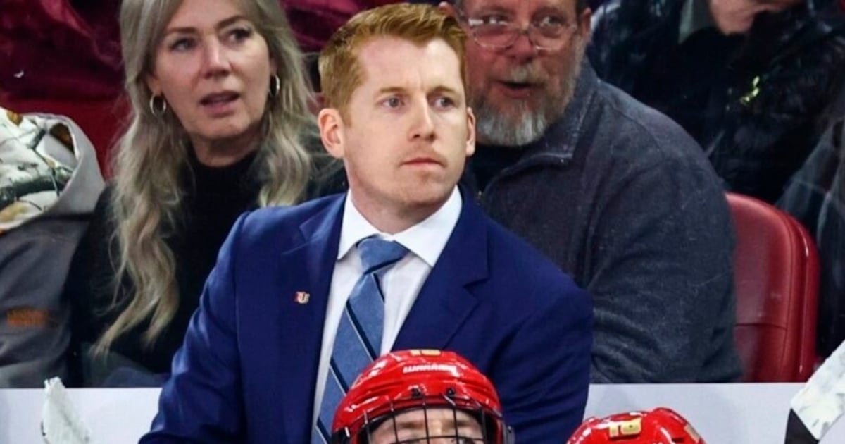 ‘No smoke’ to rumours linking Toronto Maple Leafs to David Carle for head coaching vacancy, Johnston says