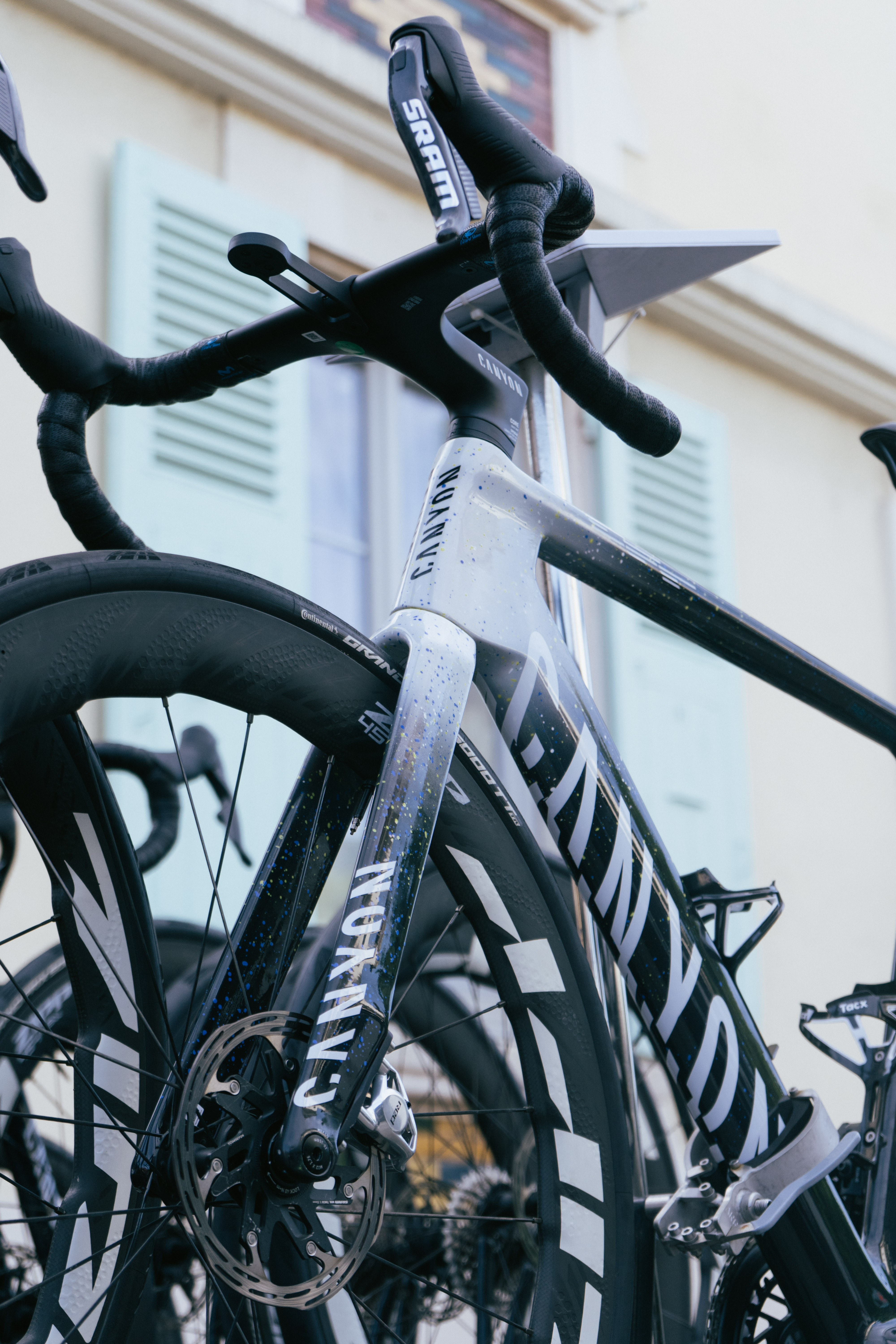 Dauphine