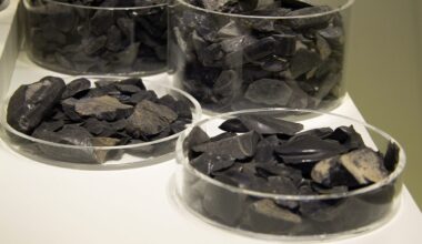 Archaeologists discovered obsidian from Melos in Knossos.