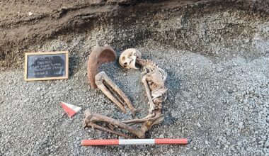 AI makes Pompeii victim's final moments look shockingly real
