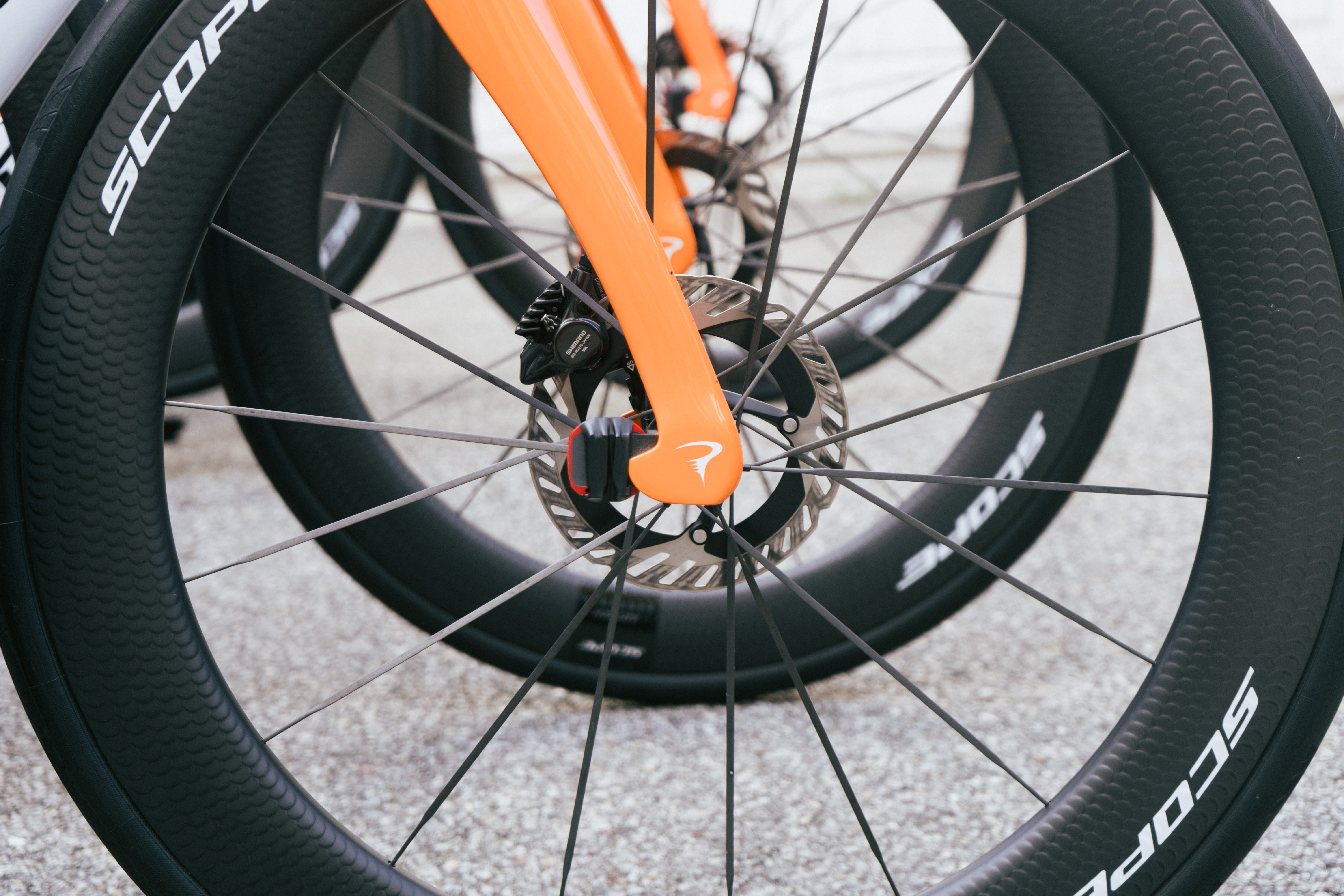 Dogma F