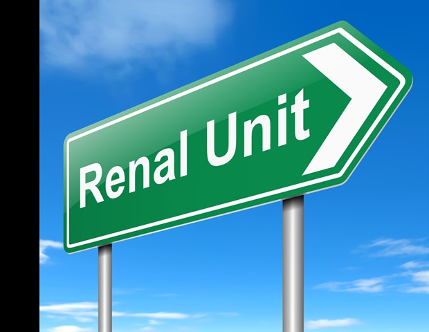 Anti-aging herbal extract shows promise against chronic renal failure