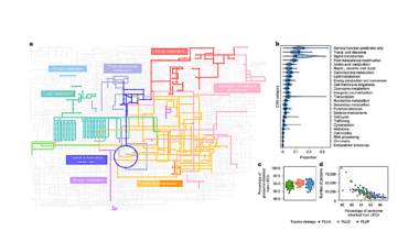 Rethinking The Origin Of Our Cells As A Story Of Microbial Alliances