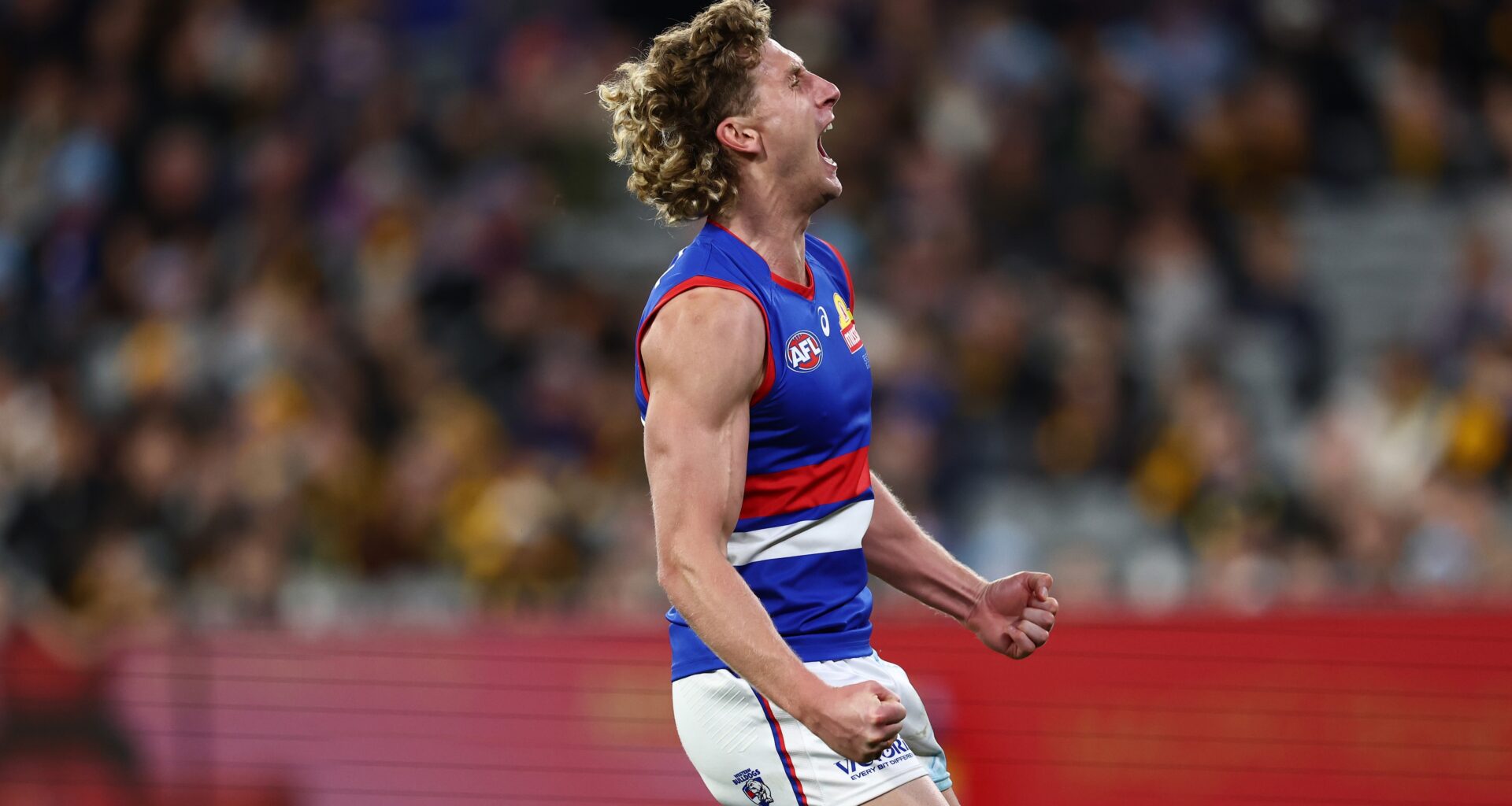 Dogs stage stunning fightback to sink wayward Hawks