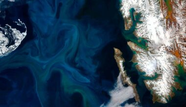 Arctic Ocean reaches tipping point that could be dire for marine life