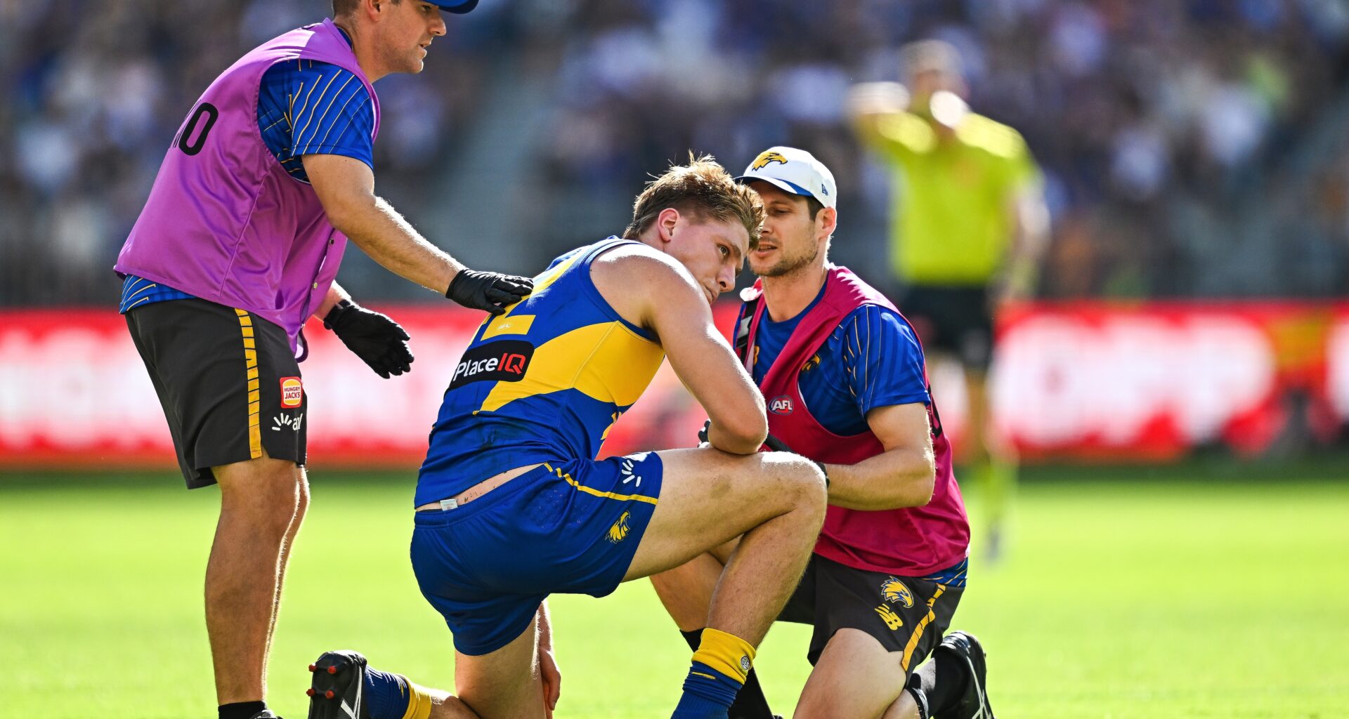 Young Eagle to meet concussion panel after series of head knocks