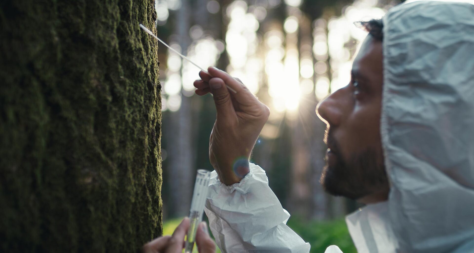 Scientist Tree Moss Pollution Sample Test