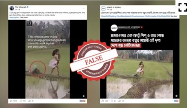 Viral worldwide: Little girl and porcupine video is from Sri Lanka, not Bangladesh