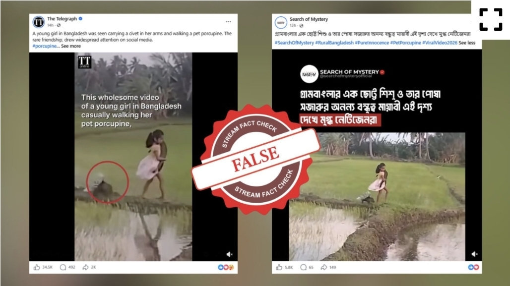 Viral worldwide: Little girl and porcupine video is from Sri Lanka, not Bangladesh