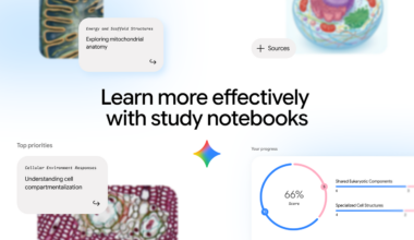 Study notebooks in the Gemini app