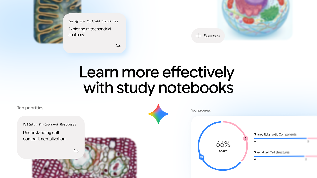 Study notebooks in the Gemini app