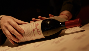 Treasury Wine Estates to go big on digital, data and AI