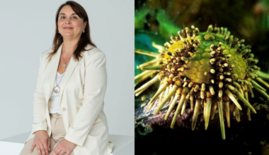 Tamara Rubilar, the marine biologist who turned a family crisis into a biotech venture