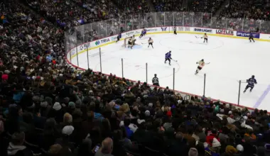 NHL, PWHL showing increased social media presence following drafts image