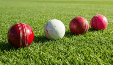 Why Everyone wants a seat at Bay 13 of the Melbourne Cricket Ground