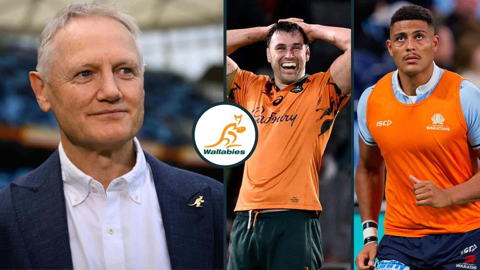 Wallabies squad winners & losers: Joe Schmidt, Nick Frost, Lukhan Salakaia-Loto, James Slipper