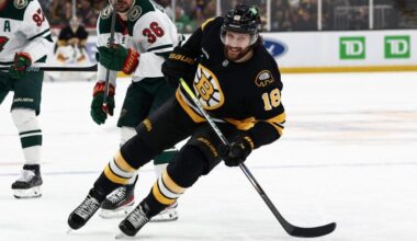 Boston Bruins' Pavel Zacha during an NHL hockey game against the Minnesota Wild Saturday, March 28, 2026, in Boston.
