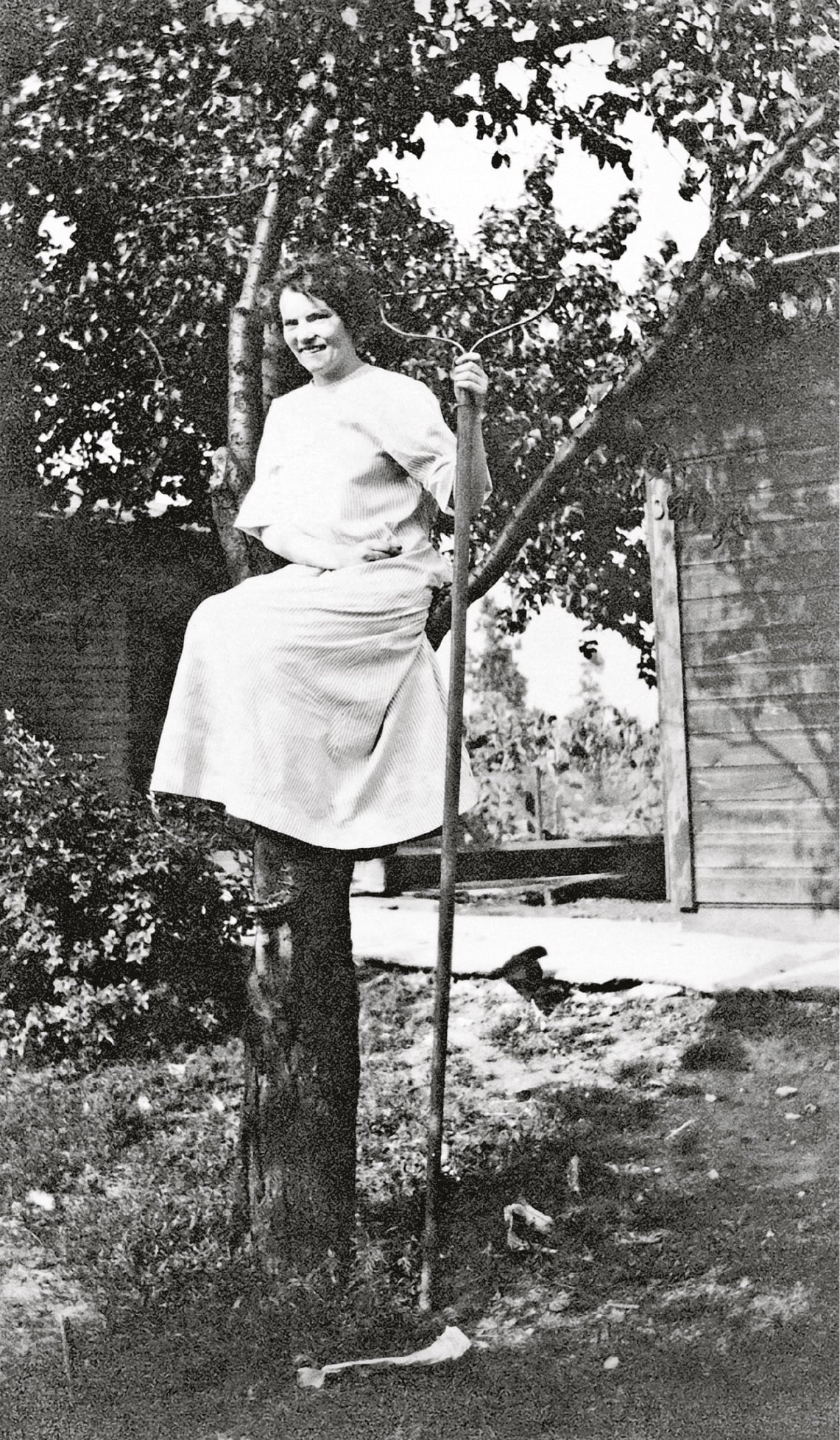 A woman in a light dress sits on the branch of a tree, smiling and holding a long-handled tool. There is a wooden shed and some bushes in the background on a sunny day.