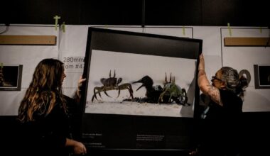Auckland Museum showcases Wildlife Photographer of the Year images