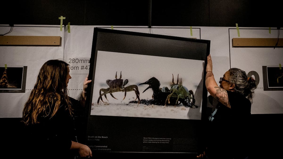 Auckland Museum showcases Wildlife Photographer of the Year images