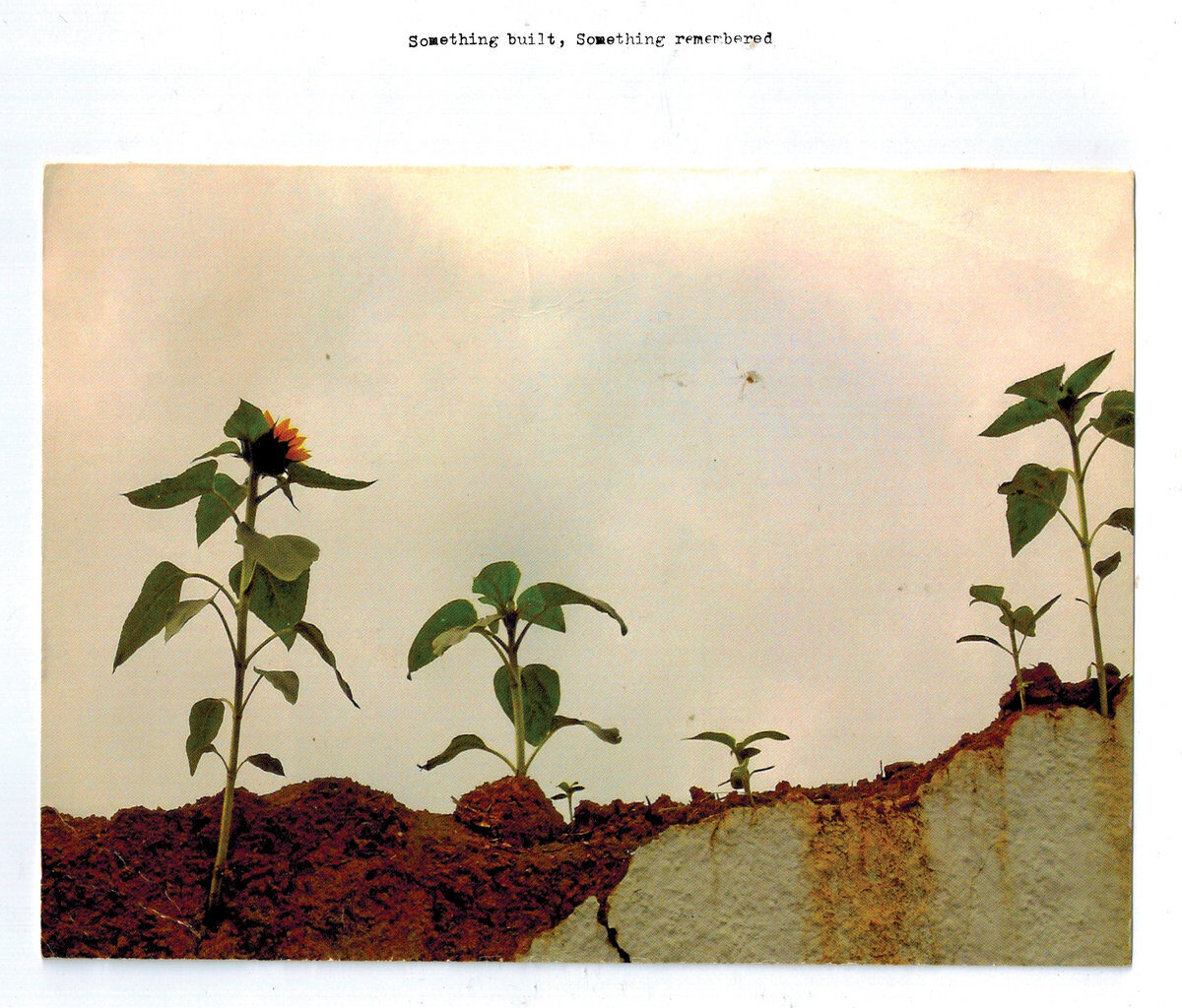 Stereogum home