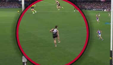 Live AFL 2026, St Kilda Saints vs Western Bulldogs Round 15