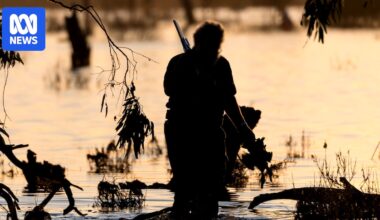 Victoria's Game Management Authority accused of ignoring duck hunting breaches, bullying opponents