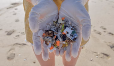 Teals call for tougher plastic pollution measures citing health, community concerns