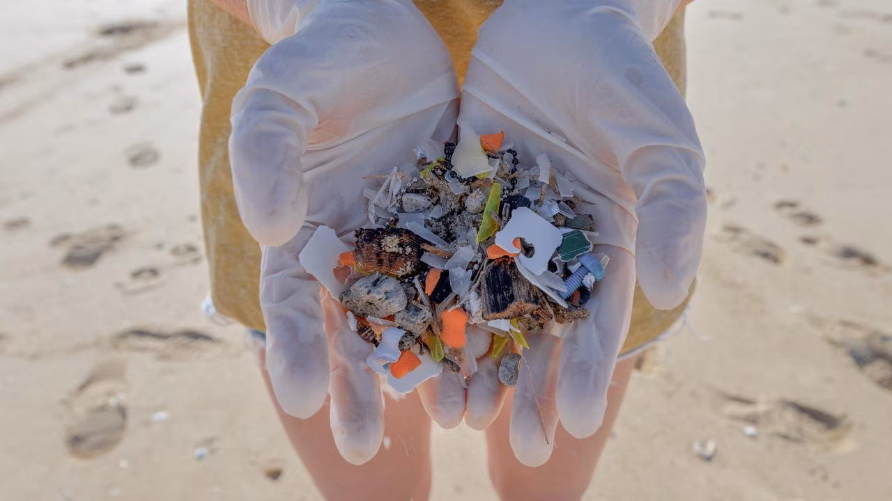 Teals call for tougher plastic pollution measures citing health, community concerns