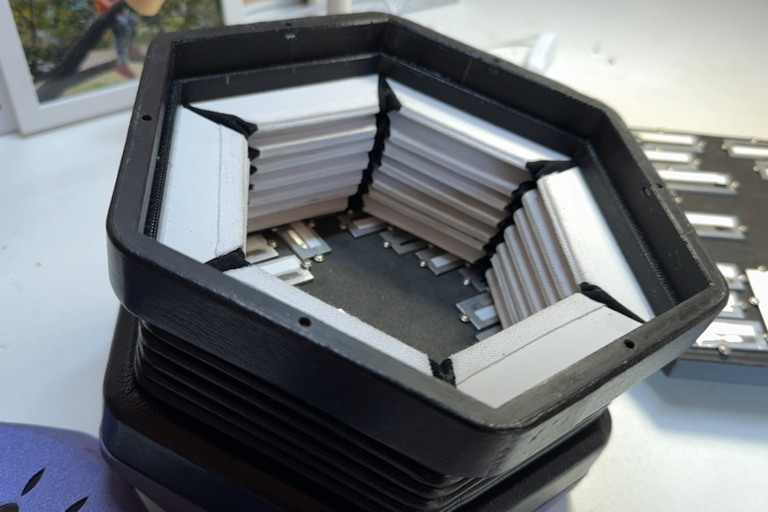A close up of the inside of a concertina