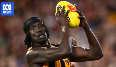 AFL and Hawks stand behind Mabior Chol after racial abuse on social media